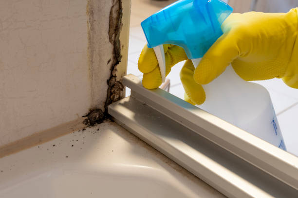 Best Bathroom Mold Remediation in Lake Como, NJ