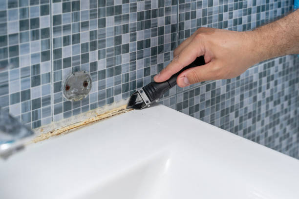 Best Post-Flood Mold Remediation in Lake Como, NJ