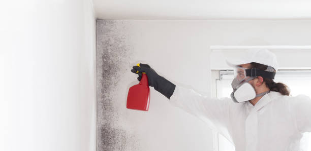 Best Crawl Space Mold Remediation in Lake Como, NJ